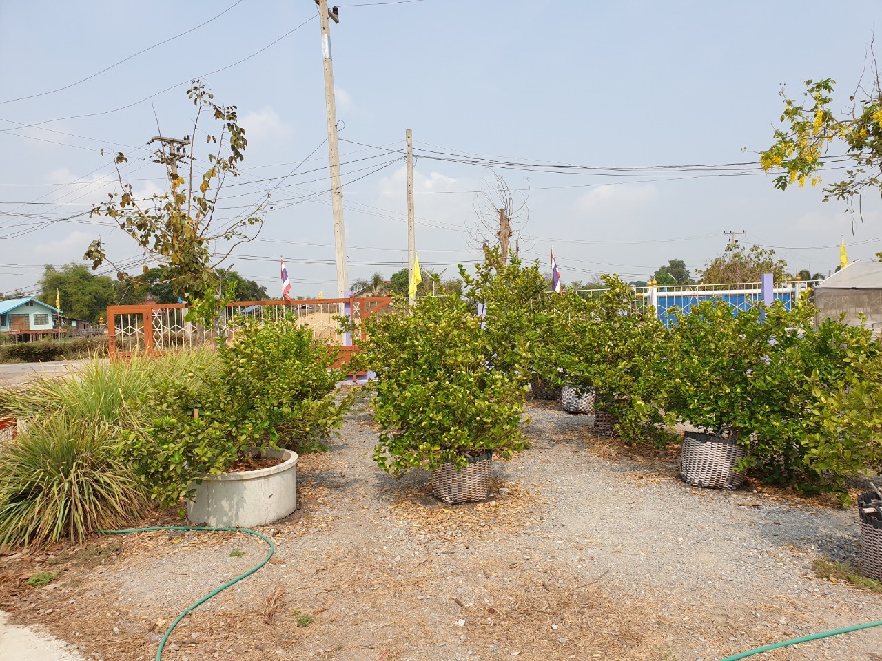 ภาพบริเวณต่าง ๆ ในโรงเรียน